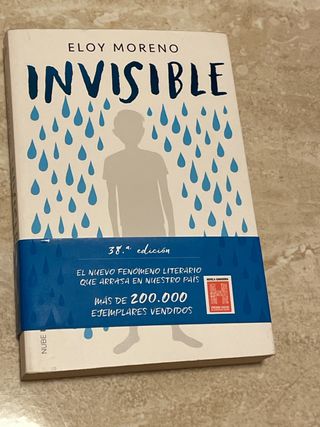 Invisible / Invisible (Spanish Edition)