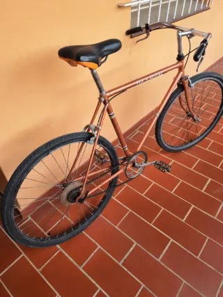 Bicicleta Record Vintage