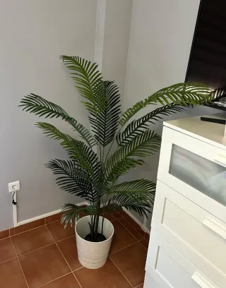 Planta artificial decorativa