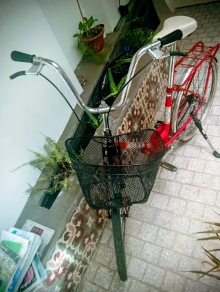 Bicicleta BH Rossa Vintage Anni '80