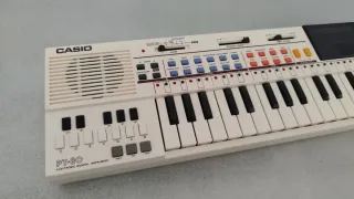 Tastierino Casio PT-80