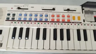 Tastierino Casio PT-80