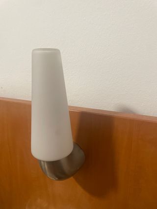 Tulipa de cristal templado