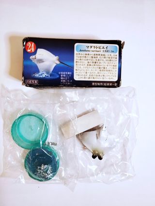 Set 8 Miniature nuove Kaiyodo Aquatales