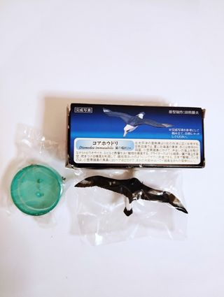 Set 8 Miniature nuove Kaiyodo Aquatales