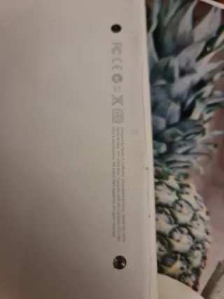 MacBook Apple Plata/Blanco