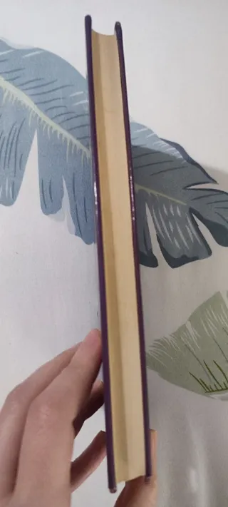 Libro El color púrpura de Alice Walker