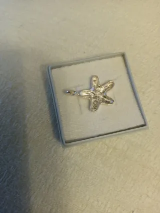 Colgante Estrella Plata de Ley