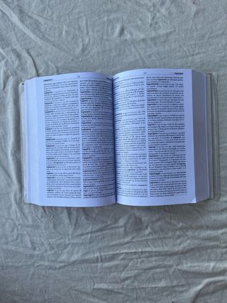 Dizionario Italiano Internet MIOT bambini Giunti