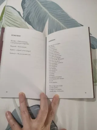 Herido diario, Rayden