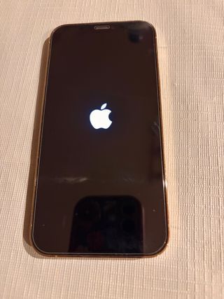 iPhone 12 Pro Dorado