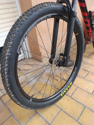 Mtb 29