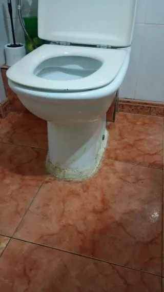 Multiservicios para el Hogar