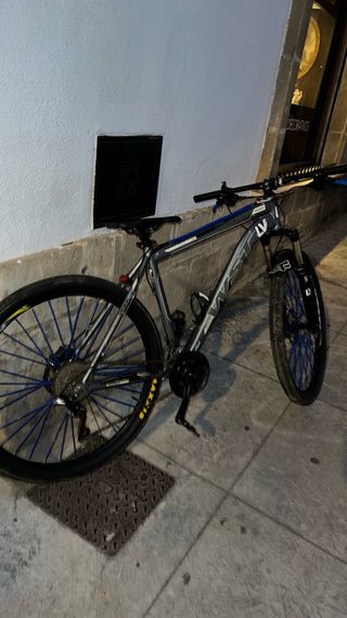 Bicicleta Montaña 29