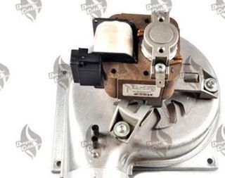 Extractor Caldera Roca Victoria 20-20 F