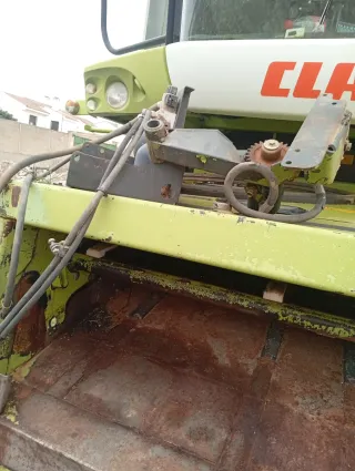 Garganta para segar en verde