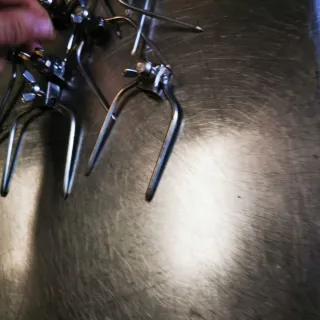 Pinchos y ganchos para máquina de pollos