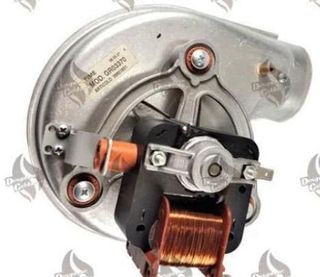 EXTRACTOR DOMI PROJET F 24