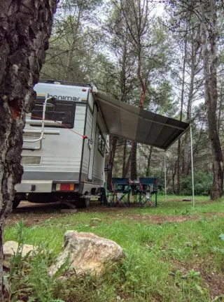 Autocaravana capuchina Benimar Junior 5000 (Fiat)