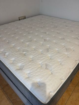 Canapé y Colchón Flex