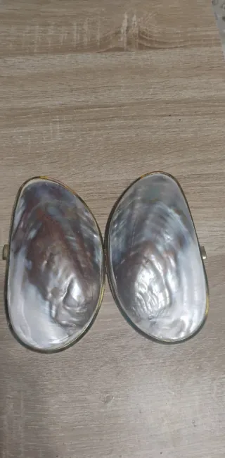 Borsetta conchiglia madreperla