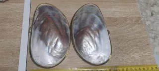 Borsetta conchiglia madreperla