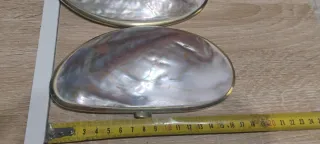 Borsetta conchiglia madreperla