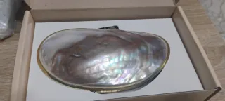 Borsetta conchiglia madreperla