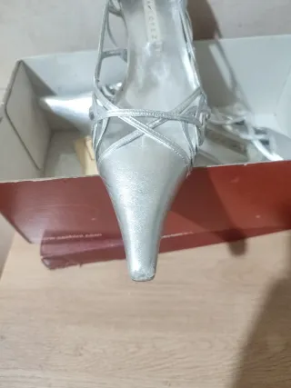 Zapatos de fiesta plateados