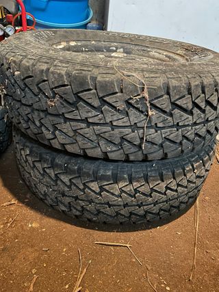 Neumáticos BFGoodrich Mud-Terrain T/A y Goodyear W