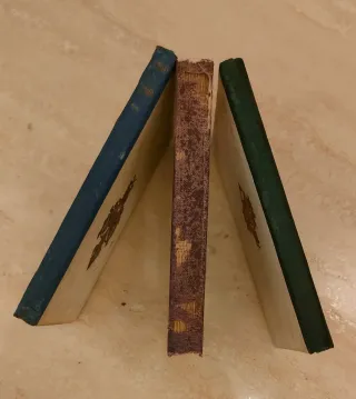 Lote 3 libros animales Canario, Cabra, Cerdo.