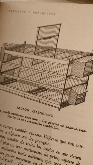 Lote 3 libros animales Canario, Cabra, Cerdo.