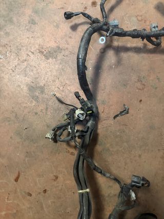 Cableado Subaru Impreza WRX 2001-2005