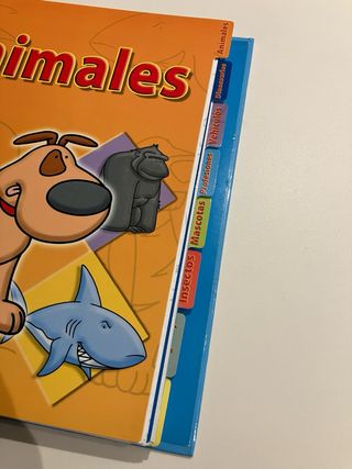 Libro manualidades aprender a dibujar