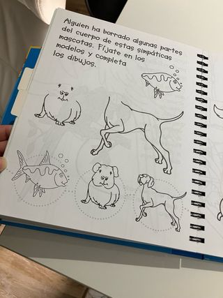 Libro manualidades aprender a dibujar