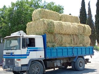Camión Pegaso 200 CV Basculante