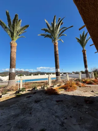 Poda y tala de árboles y jardineria en general