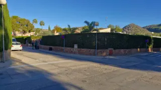 Poda y tala de árboles y jardineria en general