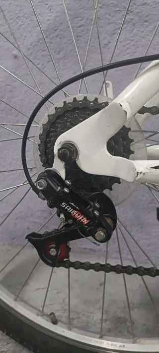 Bicicleta Freerider azul mujer