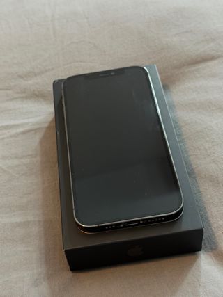 iPhone 12 Pro, Graphite