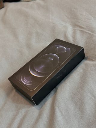 iPhone 12 Pro, Graphite