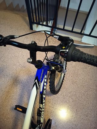 Bicicleta Infantil azul 20”