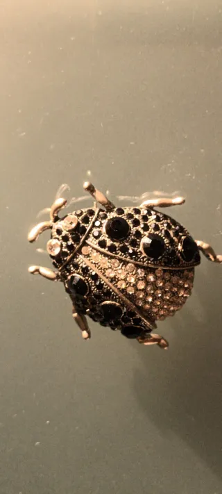 Alfinete Prata Joaninha