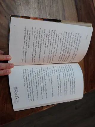 One Piece: Portgas Ace no 02/02 (novela)