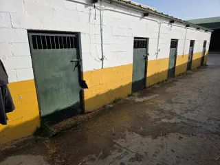 Puertas para boxes