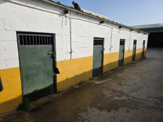 Puertas para boxes