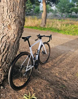 Berria Belador Ultegra Di2