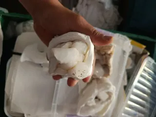 Cuarzo blanco natural