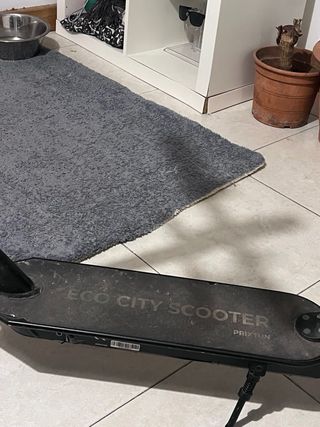 Patín Eléctrico Prixton Eco City