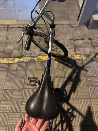 Bicicleta 24 Montaña
